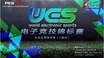 每日大赛 911八卦爆料网,911八卦爆料网独家爆料大揭秘