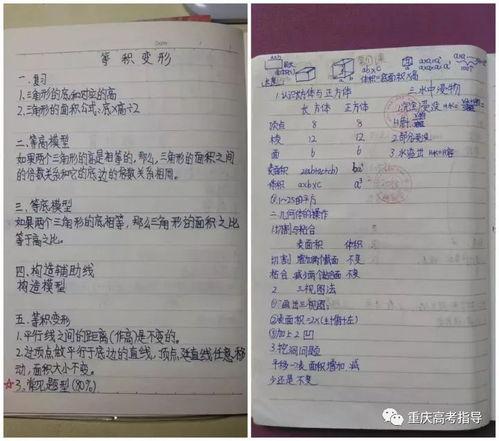 热门大瓜子 笔记,揭秘网红零食背后的故事