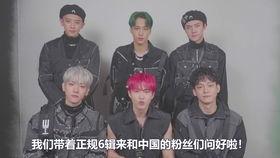 吃瓜视频大全完整版观看.独家爆料欧弟生活趣事,欧弟生活趣事，吃瓜视频大全带你领略明星日常